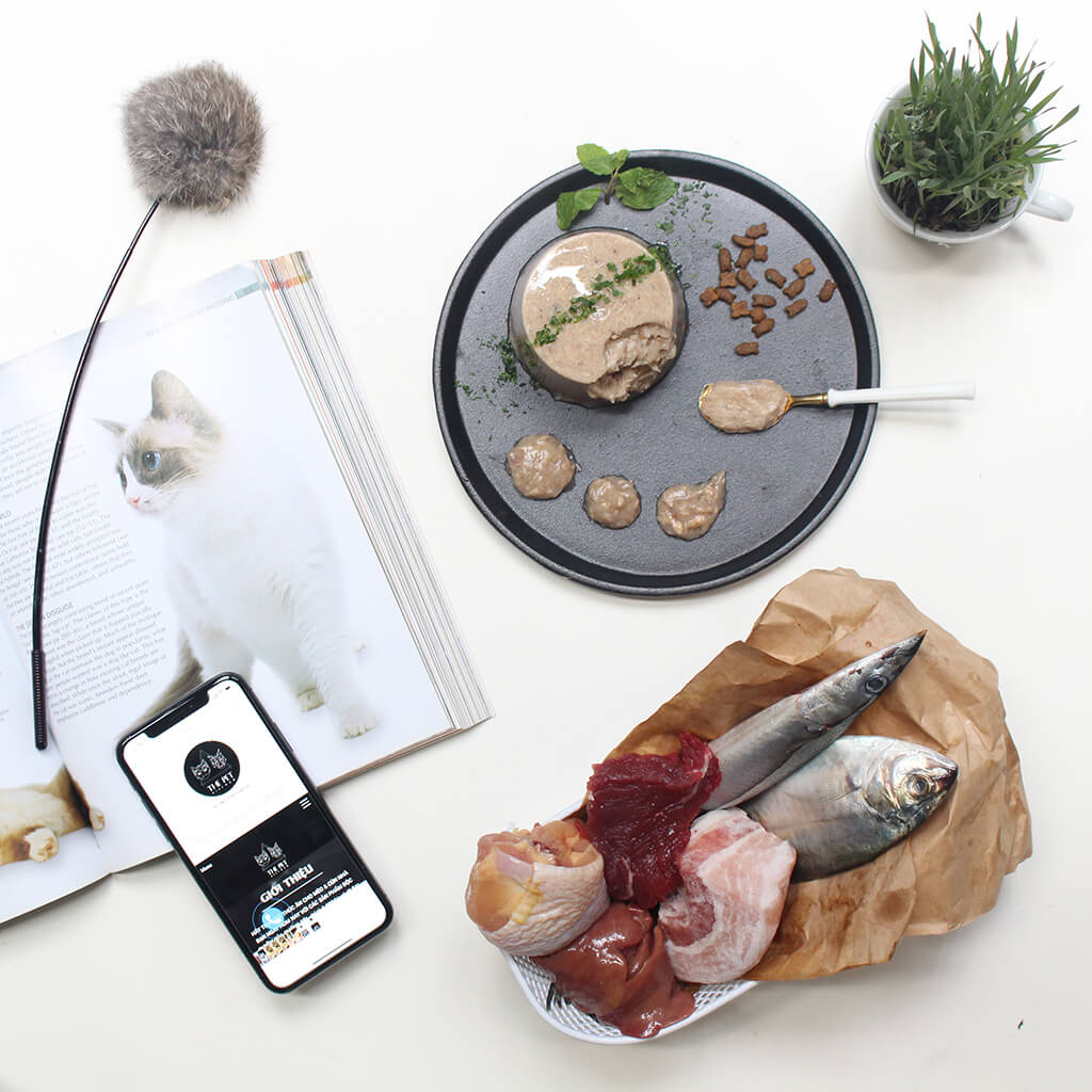 Làm thế nào để giữ thức ăn cho chó mèo luôn tươi ngon? 2 Pate thap cam gan thit heo thit bo ca 2