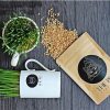 Cỏ lúa mạch tươi/Hạt giống cỏ lúa mạch-Fresh cat grass/Cat grass seed 6 GR01 co meo 1 e1533990522132