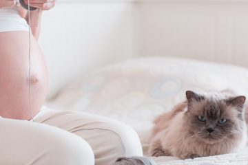 "Phụ nữ mang thai không nên nuôi mèo", tin đồn này liệu có đúng?