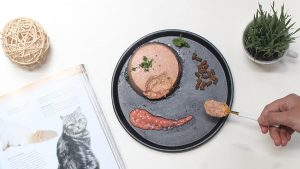 Dịch vụ mua thức ăn cho mèo giao tận nơi