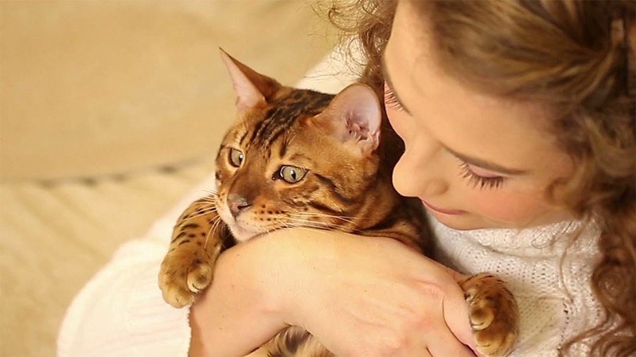 Thú cưng của bạn còn gắn bó với bạn được bao nhiêu ngày tháng nữa? 2 thu cung cua ban con gan bo voi ban duoc bao nhieu ngay thang nua1