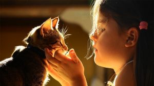 Thú cưng của bạn còn gắn bó với bạn được bao nhiêu ngày tháng nữa?