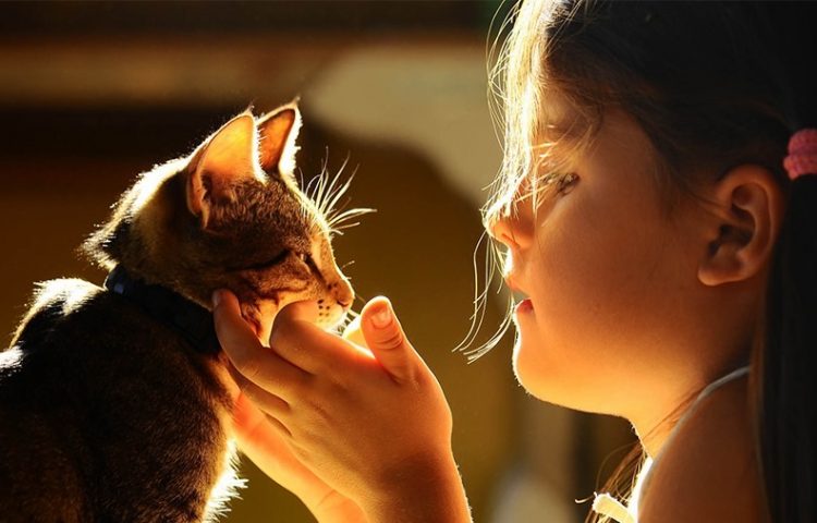 Thú cưng của bạn còn gắn bó với bạn được bao nhiêu ngày tháng nữa?