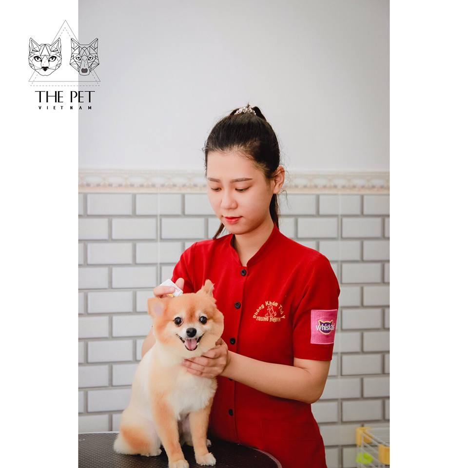 46414985 488816308277644 5059957269848915968 n