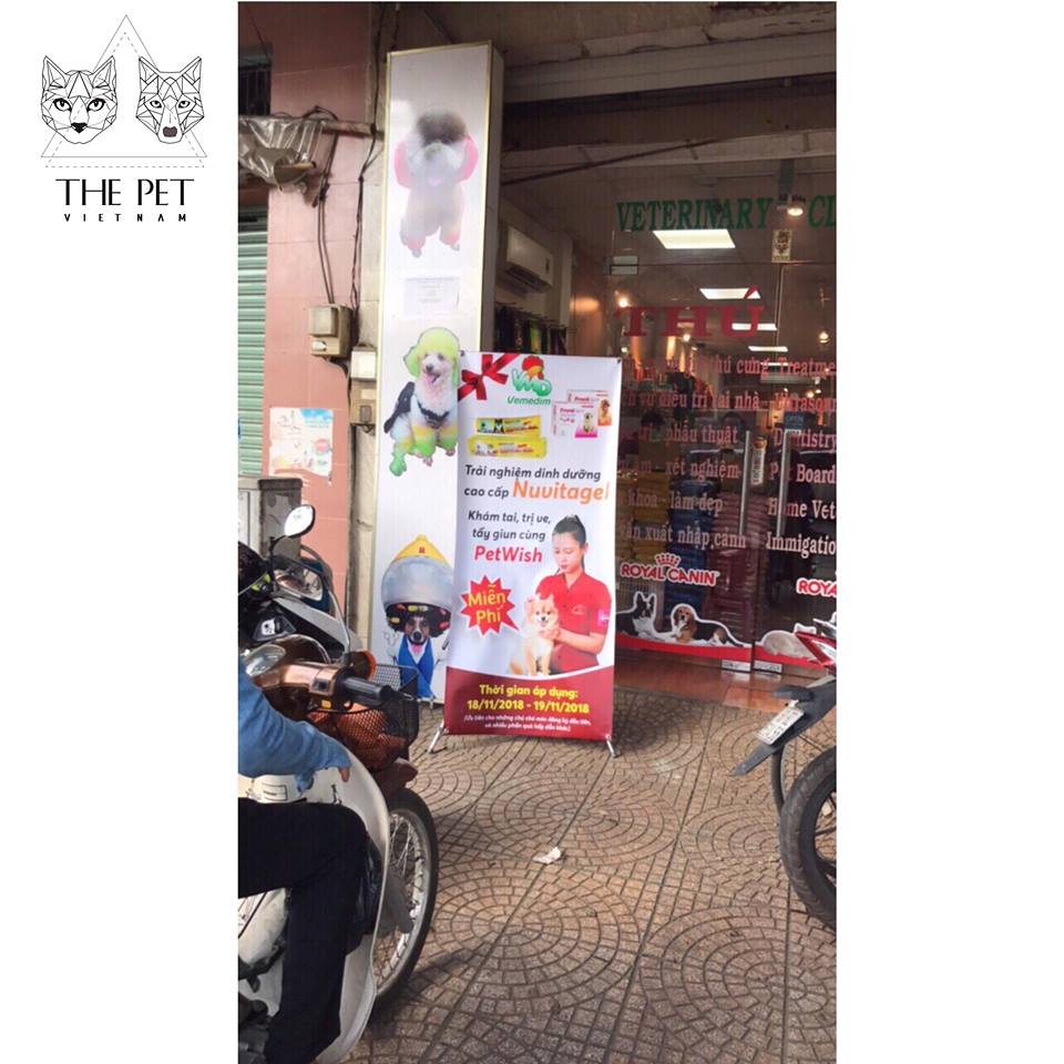 46446955 278943512757925 4538400716577832960 n