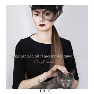 Những câu nói hay về loài mèo 6 52712954 2074534209329846 6483926352255778816 o