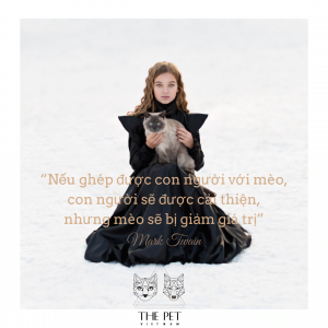 52917284 2074534245996509 7094411221297790976 o