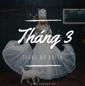 53139605 2074533645996569 6014593015006363648 o