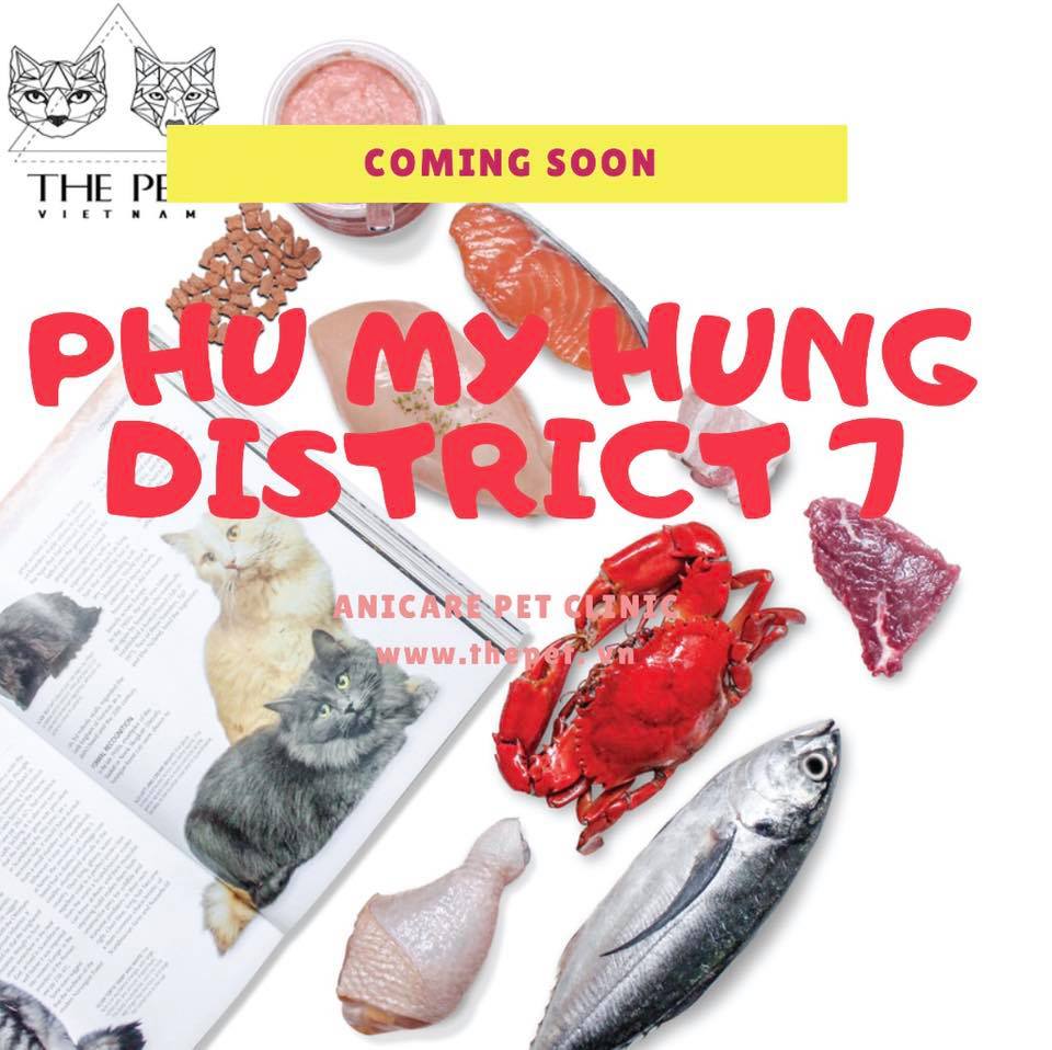 COMING SOON - Chi nhánh mới - Phòng khám thú y ANICARE - Phú Mỹ Hưng, Quận 7 1 56588468 2136420576474542 2470136198459293696 n