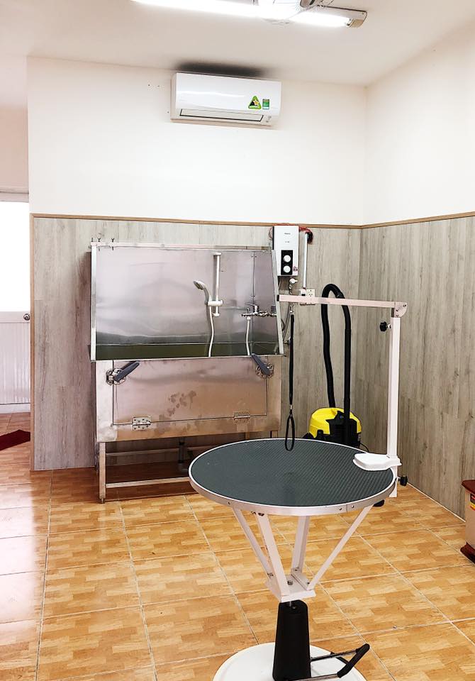 57503125 2156765077773425 6701589449366568960 n