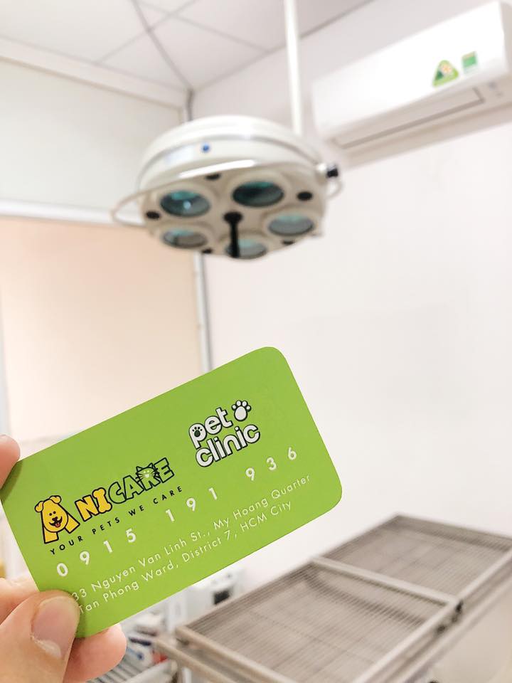 58381652 2156765071106759 5967001676400295936 n