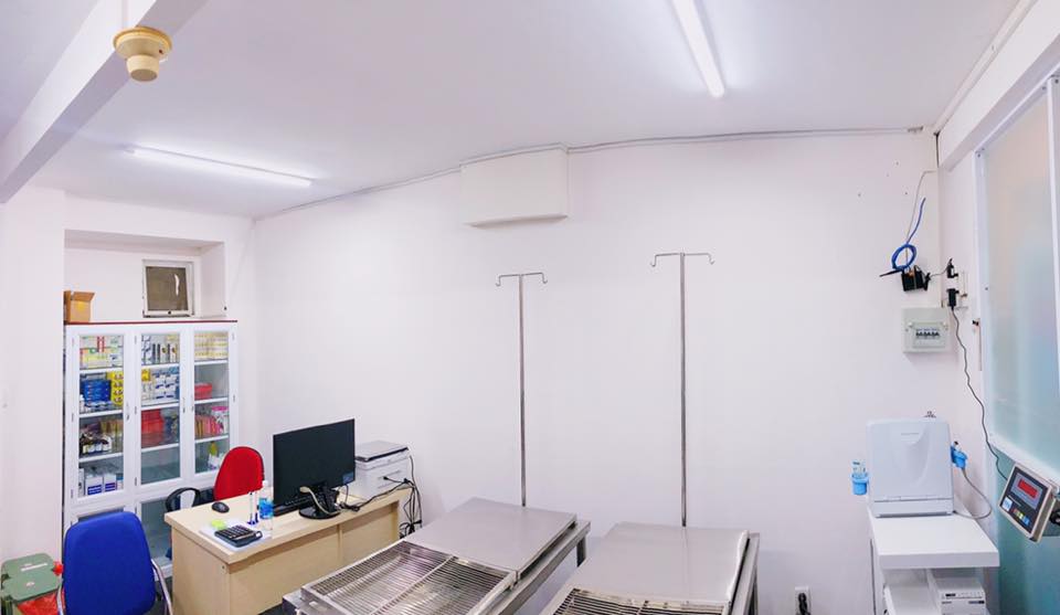 Thepet Vietnam tưng bừng khai trương chi nhánh Phú Mỹ Hưng, Quận 7 10 58622744 2156765111106755 6392426257312645120 n