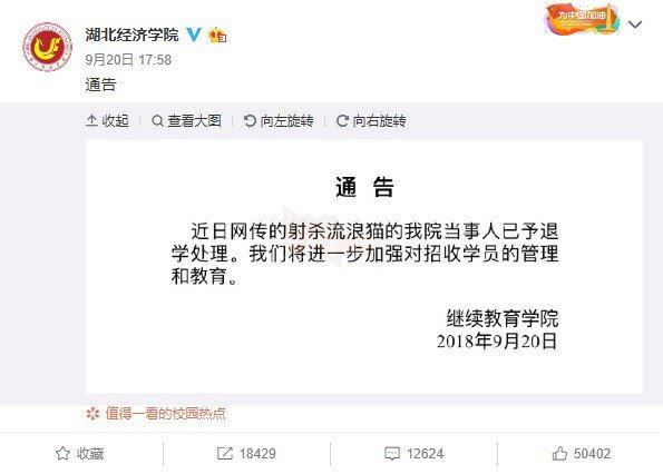 Trung Quốc: Sinh viên dùng cung tên bắn chết mèo, cả trường phẫn nộ đòi đuổi học 5 vdfhyj 15375234192061138043387 VQVH