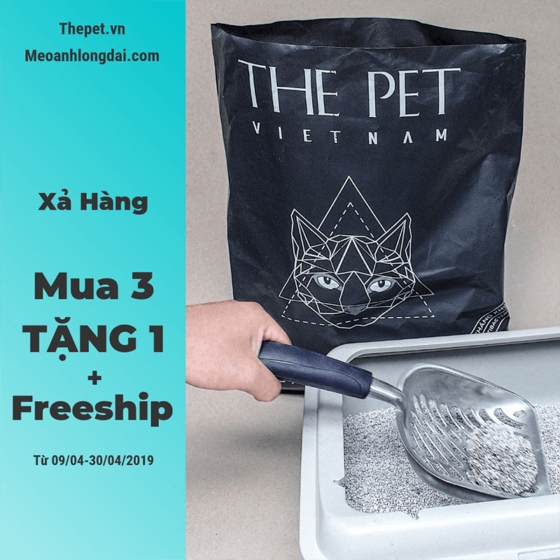 Cát vệ sinh cho mèo như thế nào là chất lượng và đáng mua? 3 xa hang cat ve sinh the pet 1
