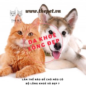 59924572 2872985486259228 2502961177508708352 n