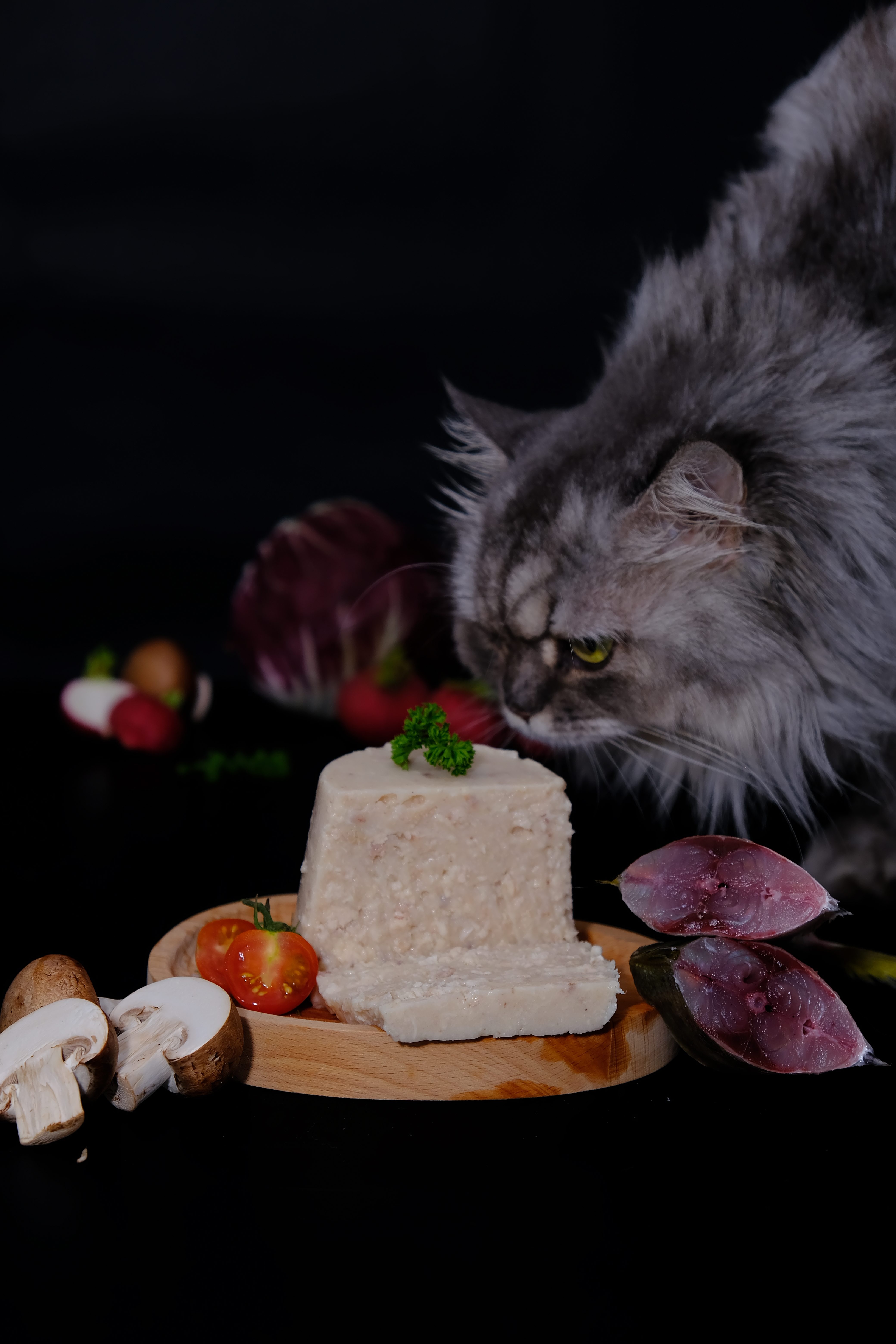 DSCF7036 e1557723282241