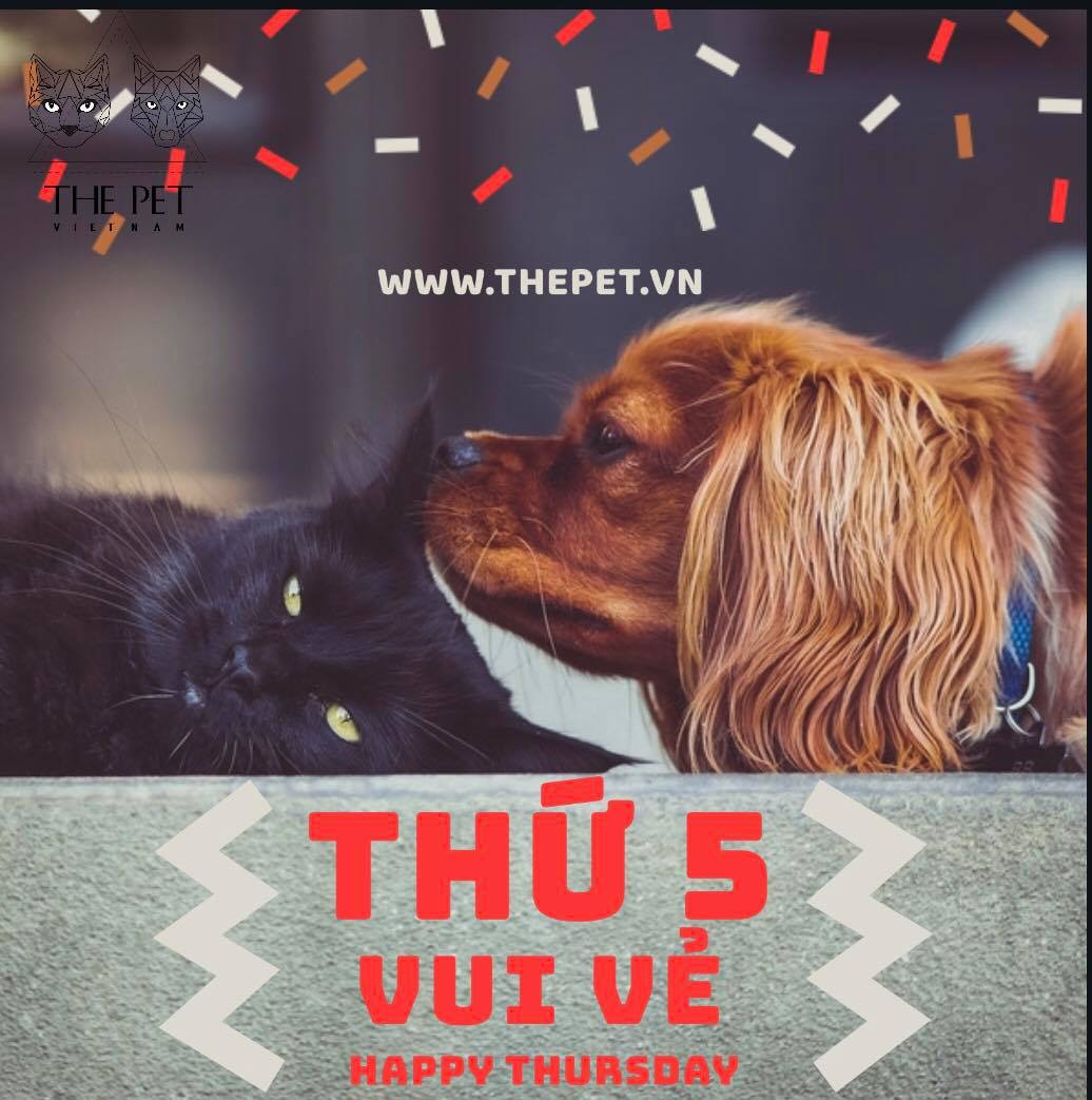 61300390 306198213658722 5888918165936668672 n