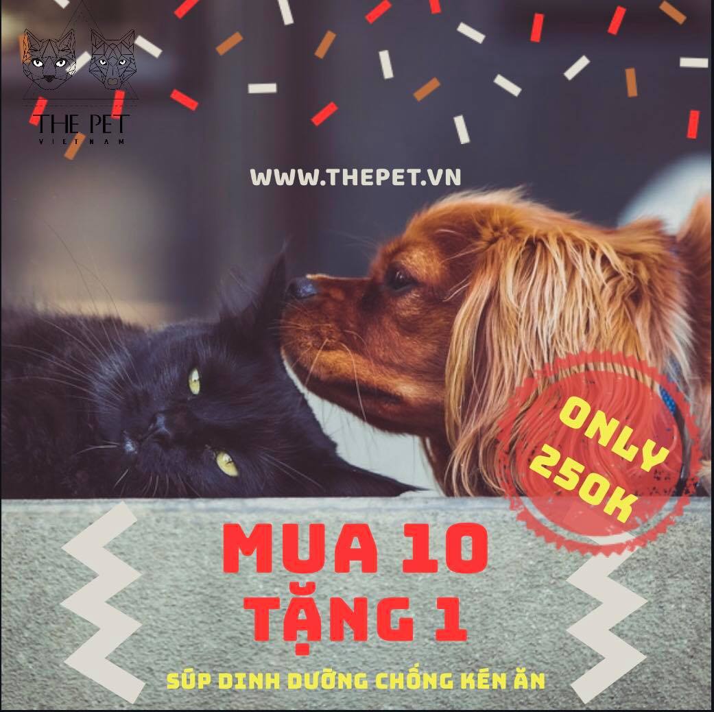 61393601 2307758999480658 3685725313184038912 n