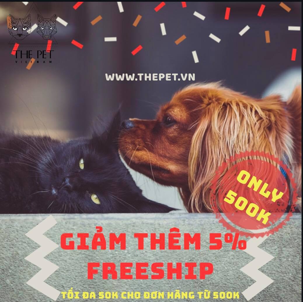 61402836 2491874540845290 96349186034761728 n