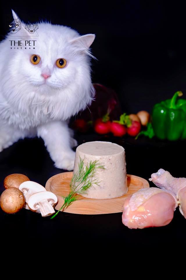 61900280 2231273996989199 5226130649747816448 n