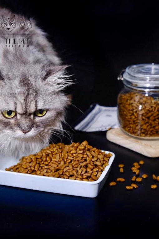 thức ăn chó mèo
