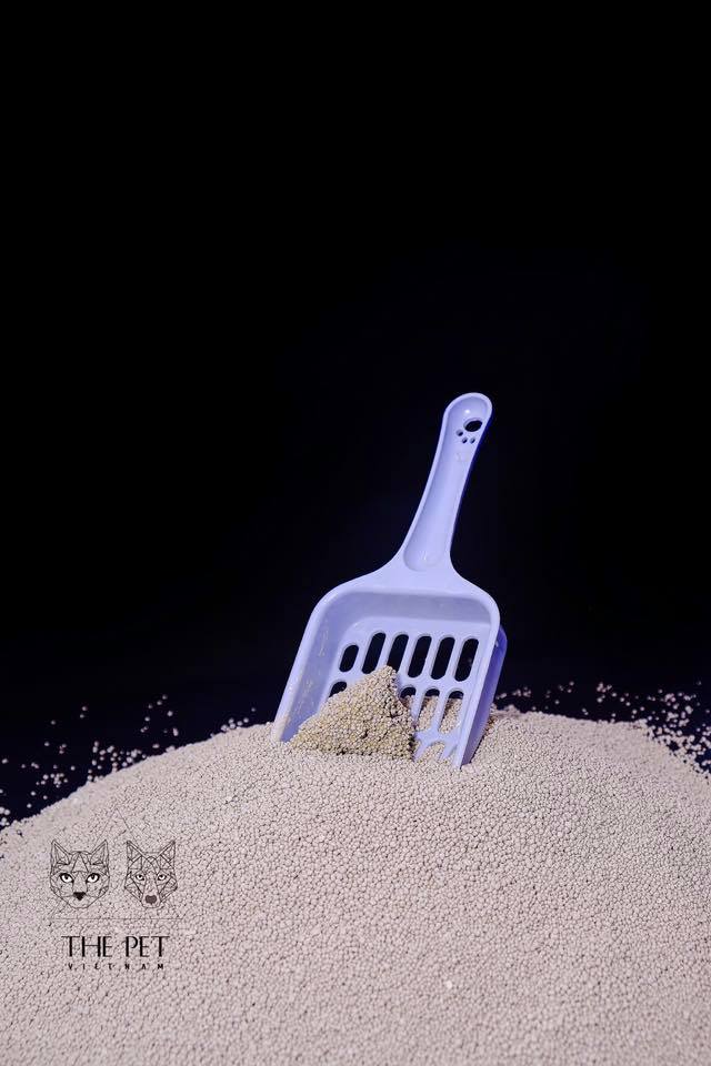 62022847 2231274570322475 745765214900715520 n