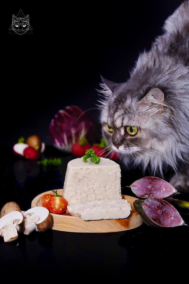 62044628 2231274256989173 6069042772139048960 n