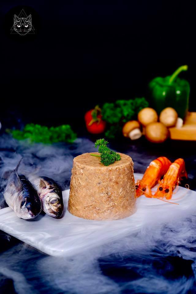 62117496 2231274033655862 3043711931035680768 n