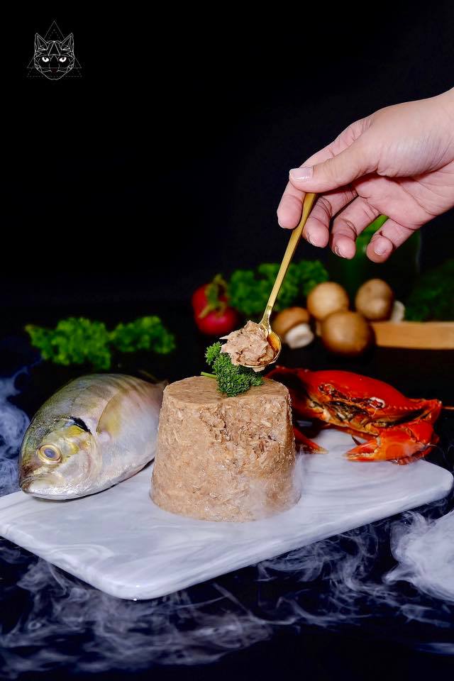 62164981 2231274043655861 2244757480364048384 n