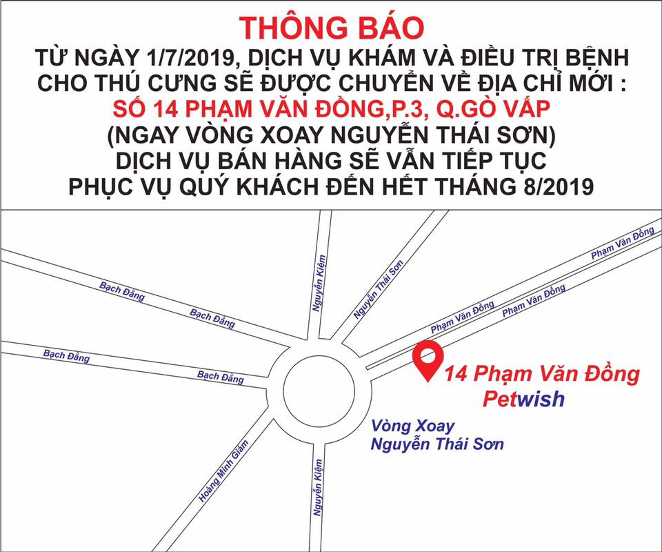 66288615 2279969768786288 7112925253352816640 n