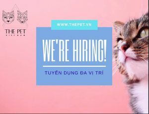 68537193 2337513799698551 6581077468814245888 n