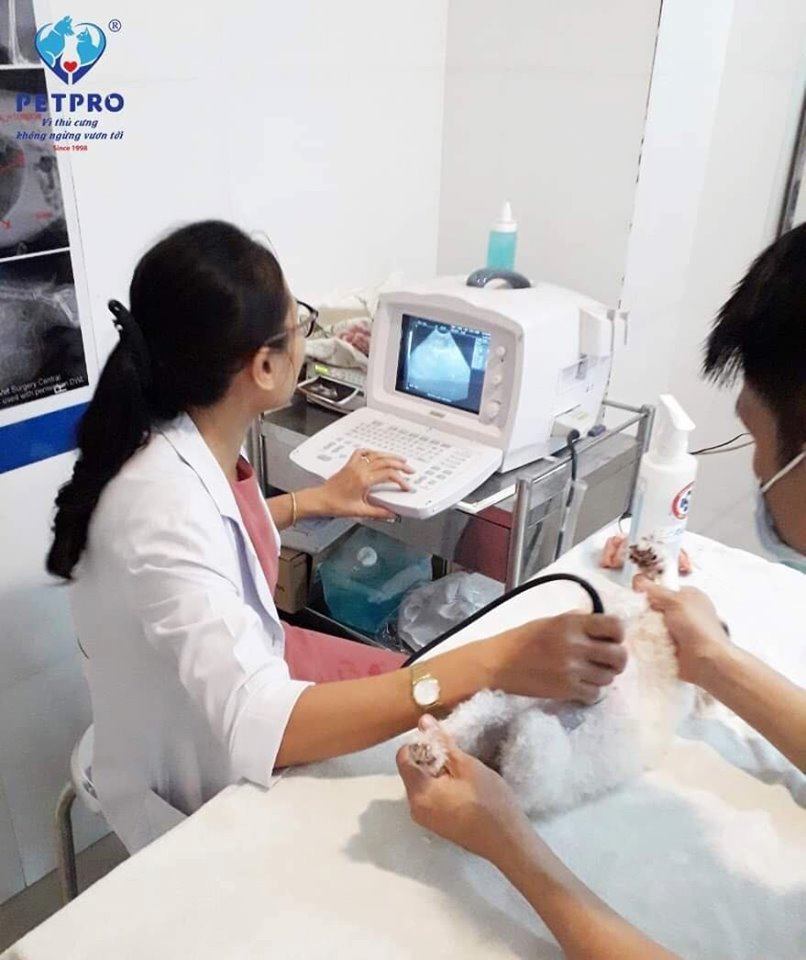 THÁNG 9 VÀNG - RỘN RÀNG KHAI TRƯƠNG CHI NHÁNH CỘNG HOÀ 2 70012514 2400203573429573 4110772843212439552 n