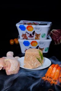 70556158 2400202056763058 3823095650258518016 o