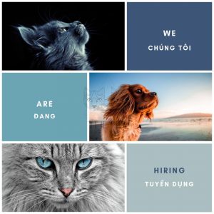 70791245 2430064003776863 594598790036455424 n