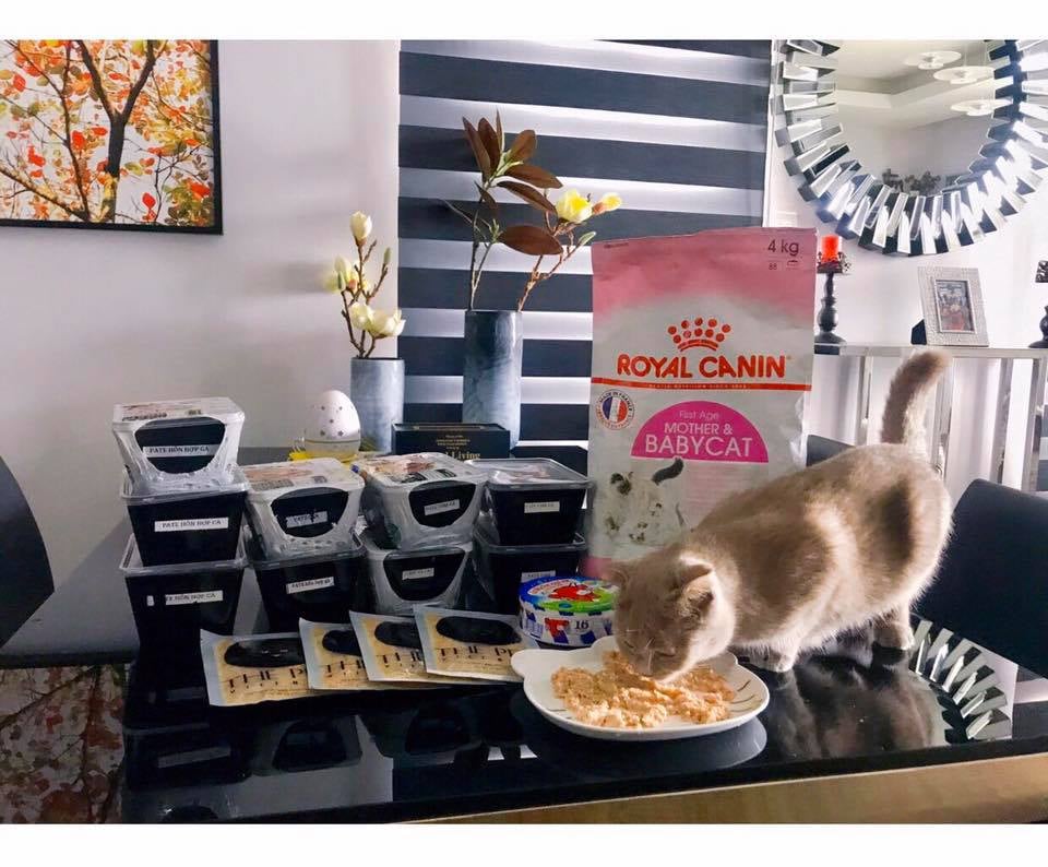 TỔNG HỢP TẤT CẢ SẢN PHẨM PATE TƯƠI CHÓ MÈO KHÔNG CHẤT BẢO QUẢN THEPET.VN  29 30