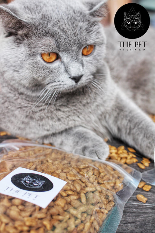 TỔNG HỢP TẤT CẢ SẢN PHẨM PATE TƯƠI CHÓ MÈO KHÔNG CHẤT BẢO QUẢN THEPET.VN  26 73372282 2480486872067909 3663168123470610432 n