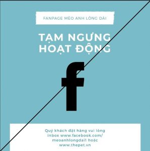 74604467 862544314141206 997345827661807616 n