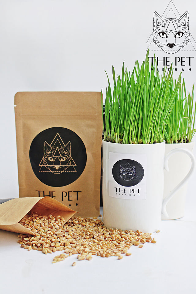 TỔNG HỢP TẤT CẢ SẢN PHẨM PATE TƯƠI CHÓ MÈO KHÔNG CHẤT BẢO QUẢN THEPET.VN  27 74693272 2480490535400876 5643595535274213376 n