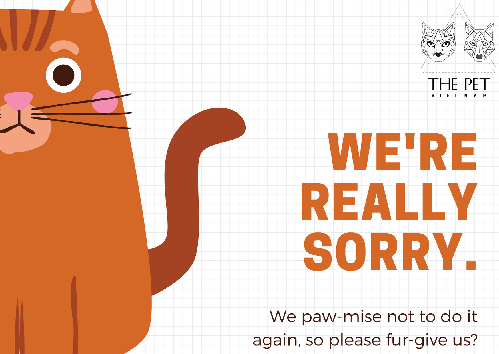 THÔNG BÁO: Page Mèo Anh Lông Dài tạm thời ngưng hoạt động 1 74952260 2415338618729120 6536292113947033600 n