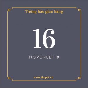 74413576 1786398081667336 5794085614458503168 n