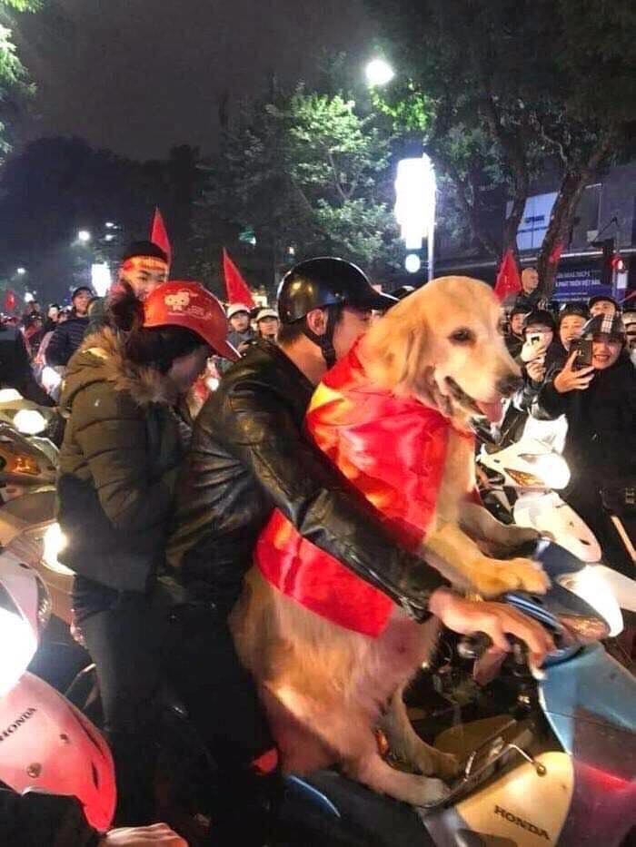 VIỆT NAM VÔ ĐỊCH: THEPET.VN GIẢM GIÁ TẤT CẢ MẶT HÀNG 10% CHỈ TRONG 2 NGÀY 11 - 12/12/2019 5 78806446 1021587018176958 9200461551721512960 n