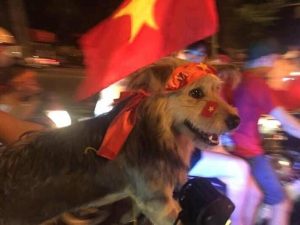 78897172 2680753508637383 4929581918376165376 n