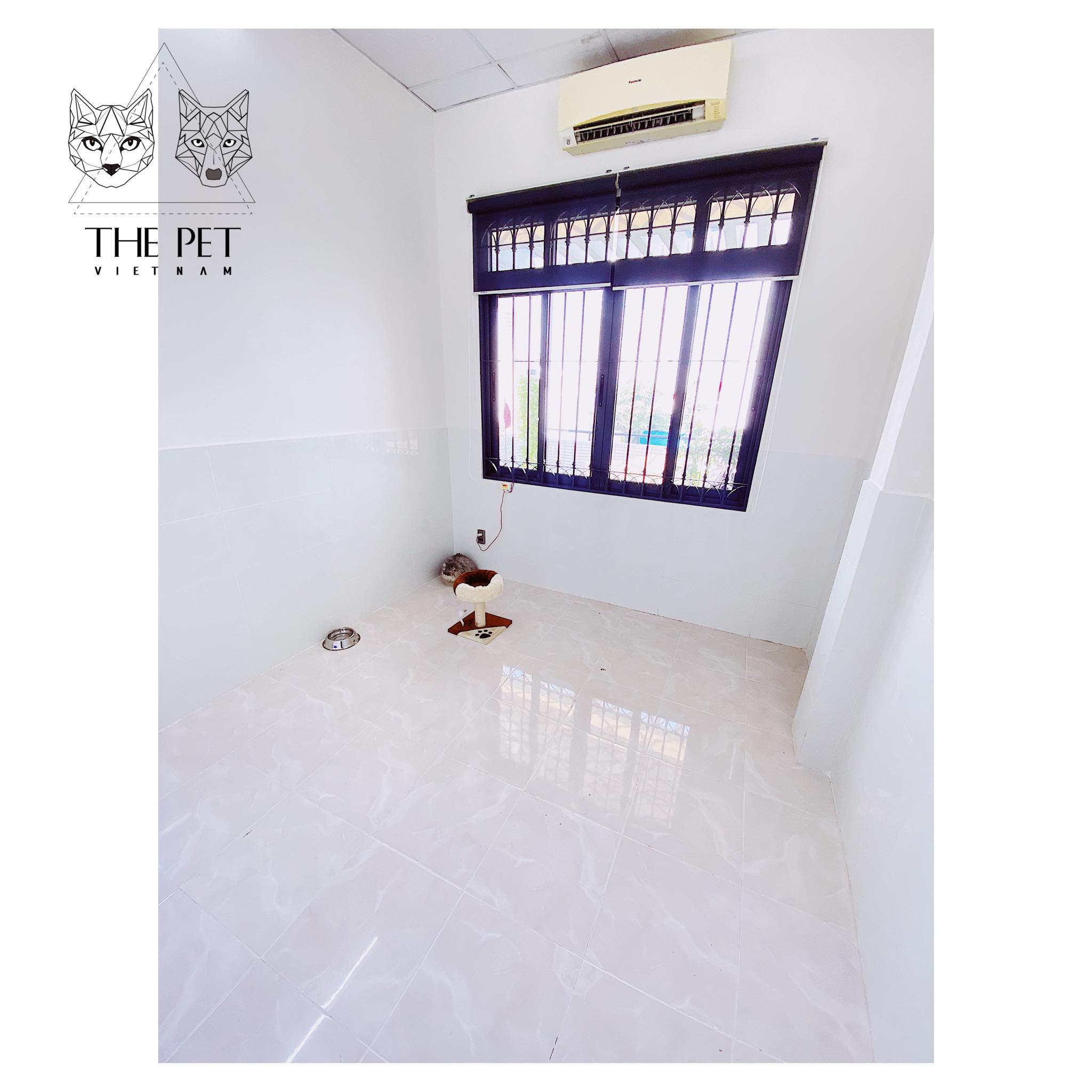 CHỈ CÒN 05 SUẤT CUỐI: DỊCH VỤ GIỮ MÈO TẾT 2020 3 81971986 515743215726367 7596444249105629184 n