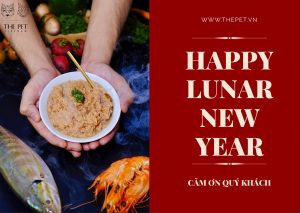 82846322 157888882311005 3681330221610434560 o