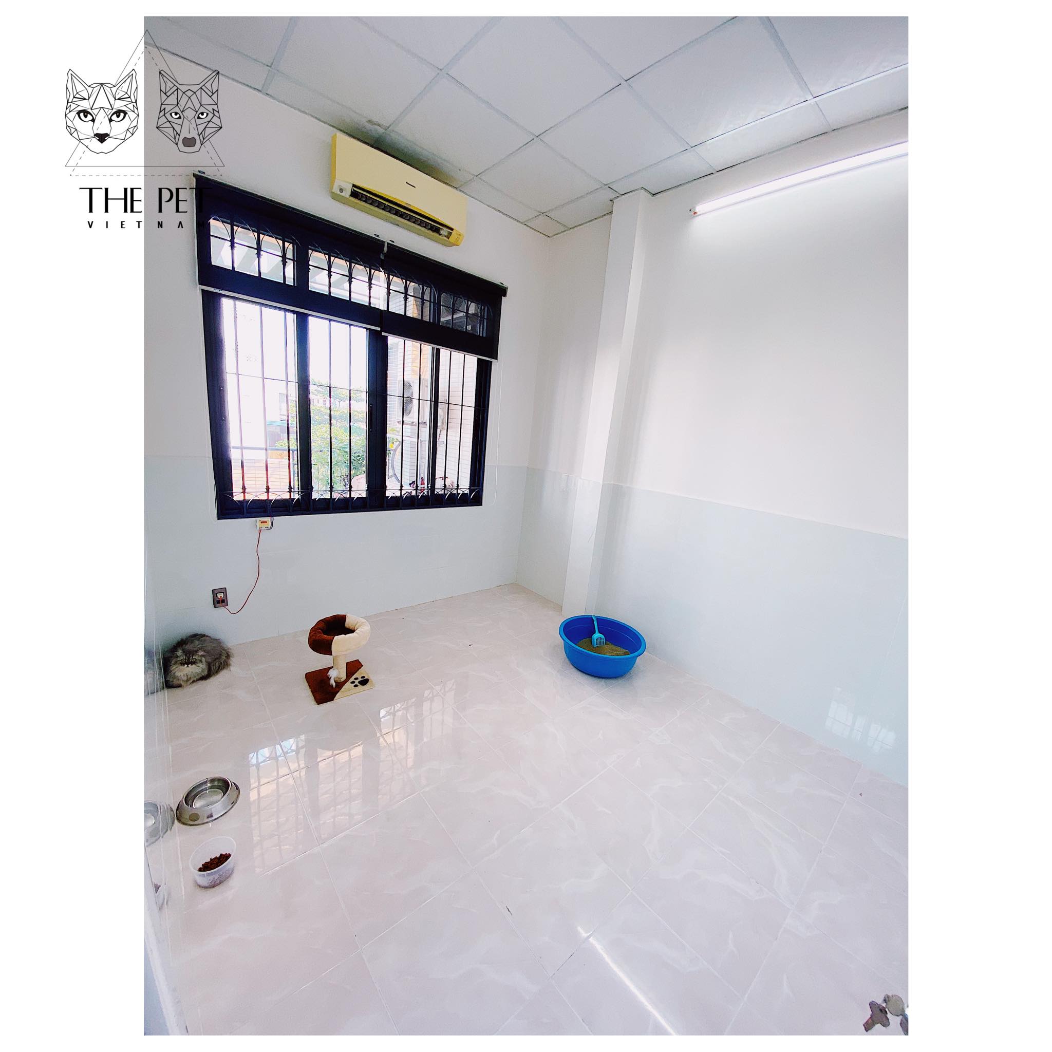 CHỈ CÒN 05 SUẤT CUỐI: DỊCH VỤ GIỮ MÈO TẾT 2020 2 83134263 1112479769094759 3690492220076457984 n