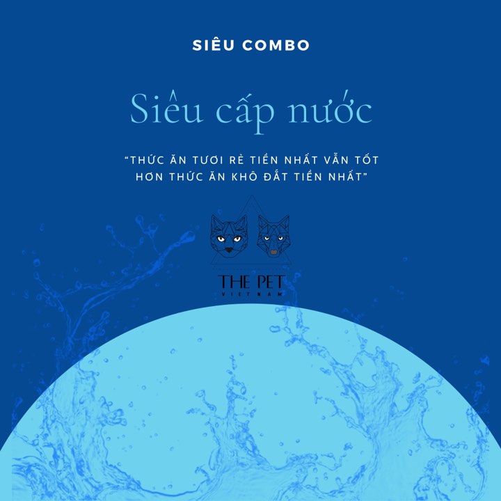 83385787 823654174806719 8200996784764354560 n