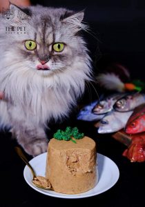 cách làm pate tươi cho mèo