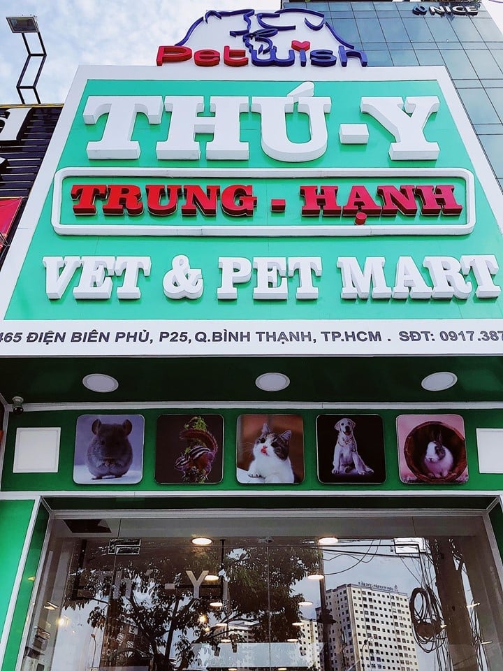 73459008 858073184588319 7453994700886769664 n