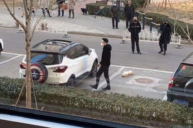 83230159 194839531601432 5599064919212294144 n