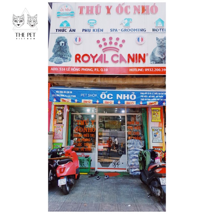 HOT‼️ HOT ‼️ CỨ GHÉ CHƠI LÀ CÓ QUÀ MANG VỀ 2 86695364 178185536948006 838569897570074624 n